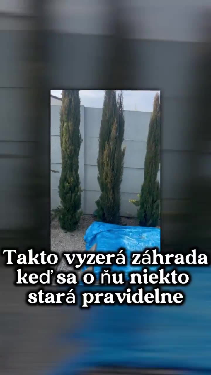 Práca v záhrade