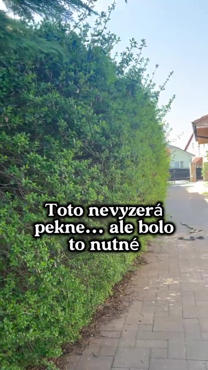 Záhradné práce