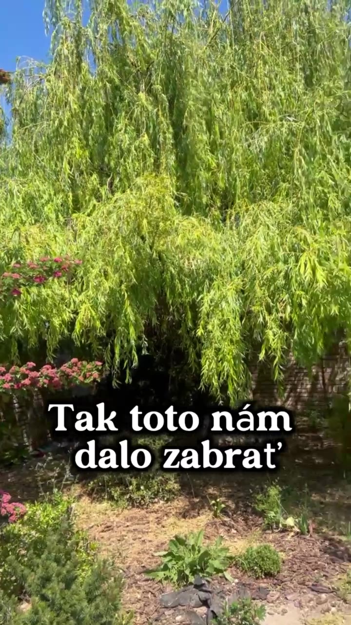 Realizácia v Nových Zámkoch